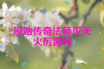 原始传奇法师灭天火厉害吗