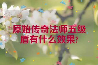 原始传奇法师五级盾有什么效果?