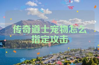 传奇道士宠物怎么指定攻击