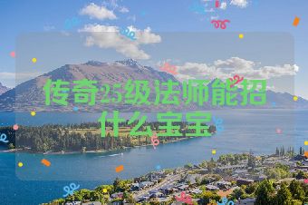 传奇25级法师能招什么宝宝