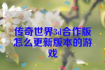 传奇世界3d合作版怎么更新版本的游戏