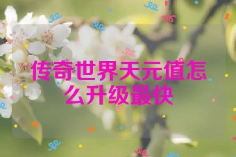传奇世界天元值怎么升级最快