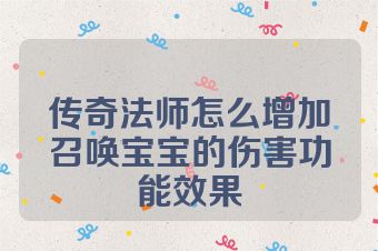 传奇法师怎么增加召唤宝宝的伤害功能效果