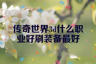 传奇世界3d什么职业好刷装备最好