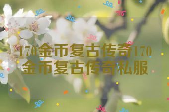 170金币复古传奇170金币复古传奇私服