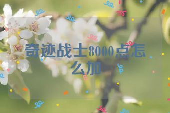 奇迹战士8000点怎么加