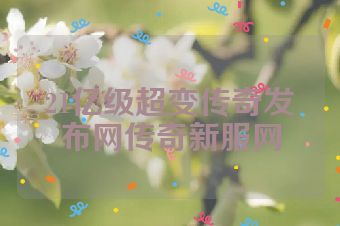 21亿级超变传奇发布网传奇新服网