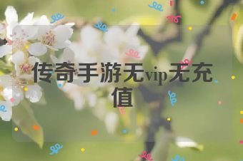传奇手游无vip无充值