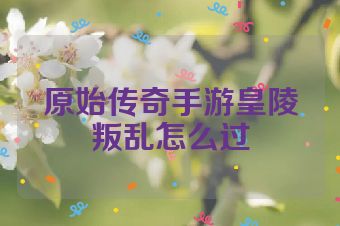 原始传奇手游皇陵叛乱怎么过