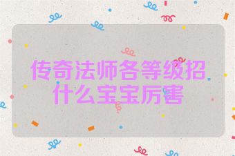 传奇法师各等级招什么宝宝厉害