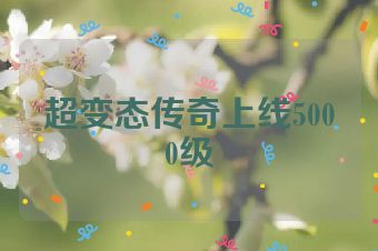 超变态传奇上线5000级