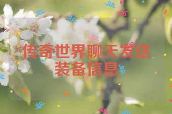 传奇世界聊天发送装备信息