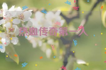 热血传奇第一人