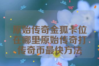 原始传奇金狐卡位在哪里原始传奇打传奇币最快方法