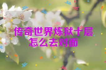 传奇世界炼狱十层怎么去对面