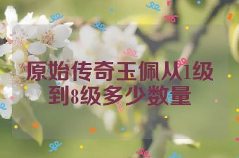 原始传奇玉佩从1级到8级多少数量