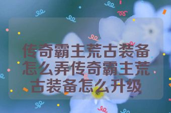 传奇霸主荒古装备怎么弄传奇霸主荒古装备怎么升级