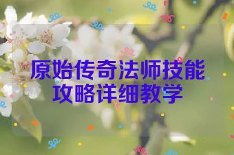原始传奇法师技能攻略详细教学