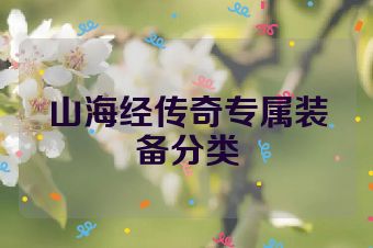 山海经传奇专属装备分类