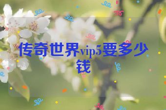 传奇世界vip5要多少钱