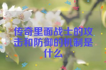 传奇里面战士的攻击和防御的机制是什么