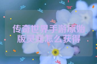 传奇世界手游原始版灵宠怎么获得
