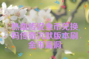 热血传说金币兑换码传奇沉默版本刷金币漏洞