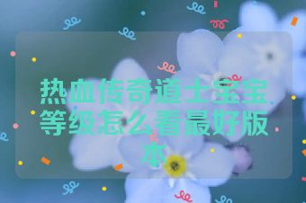 热血传奇道士宝宝等级怎么看最好版本