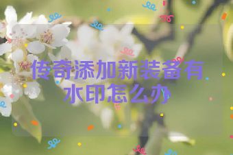 传奇添加新装备有水印怎么办