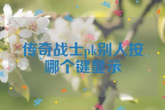 传奇战士pk别人按哪个键显示