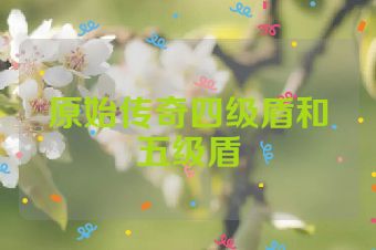 原始传奇四级盾和五级盾