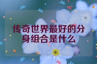传奇世界最好的分身组合是什么