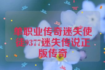 单职业传奇迷失使徒9377迷失传说正版传奇