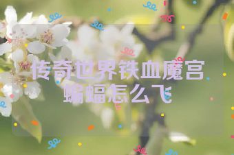 传奇世界铁血魔宫蝙蝠怎么飞