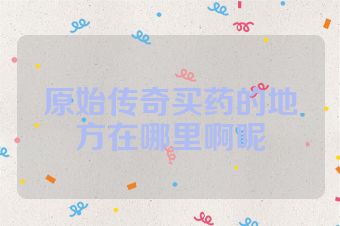 原始传奇买药的地方在哪里啊呢