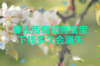 复古传奇法师宝宝下线多久会消失