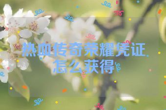 热血传奇荣耀凭证怎么获得