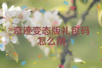 奇迹变态版礼包码怎么用