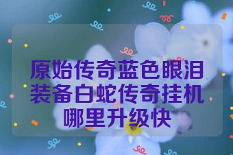 原始传奇蓝色眼泪装备白蛇传奇挂机哪里升级快