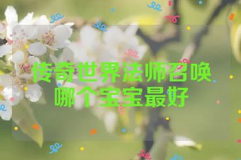 传奇世界法师召唤哪个宝宝最好