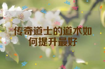 传奇道士的道术如何提升最好
