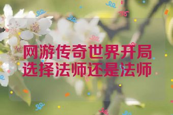 网游传奇世界开局选择法师还是法师