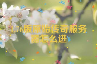 1.76版原始传奇服务器怎么进
