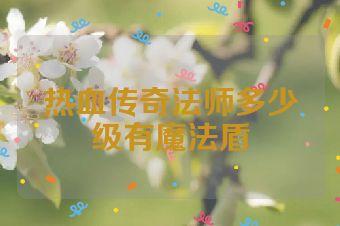 热血传奇法师多少级有魔法盾