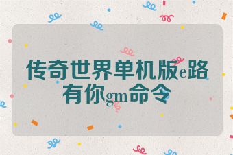 传奇世界单机版e路有你gm命令
