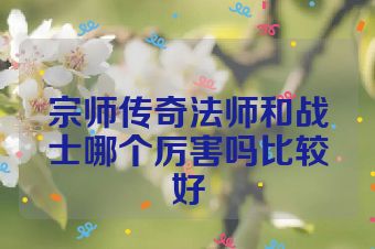 宗师传奇法师和战士哪个厉害吗比较好