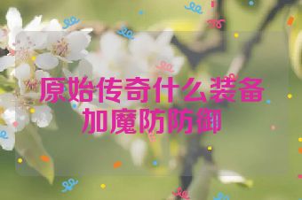 原始传奇什么装备加魔防防御