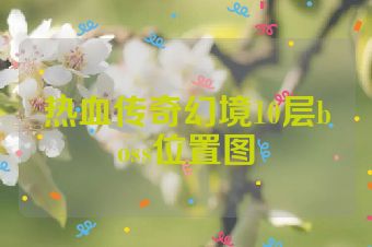 热血传奇幻境10层boss位置图