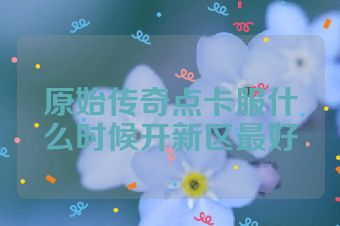 原始传奇点卡服什么时候开新区最好