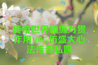 传奇世界腰缠万贯作用100%仿盛大心法传奇私服